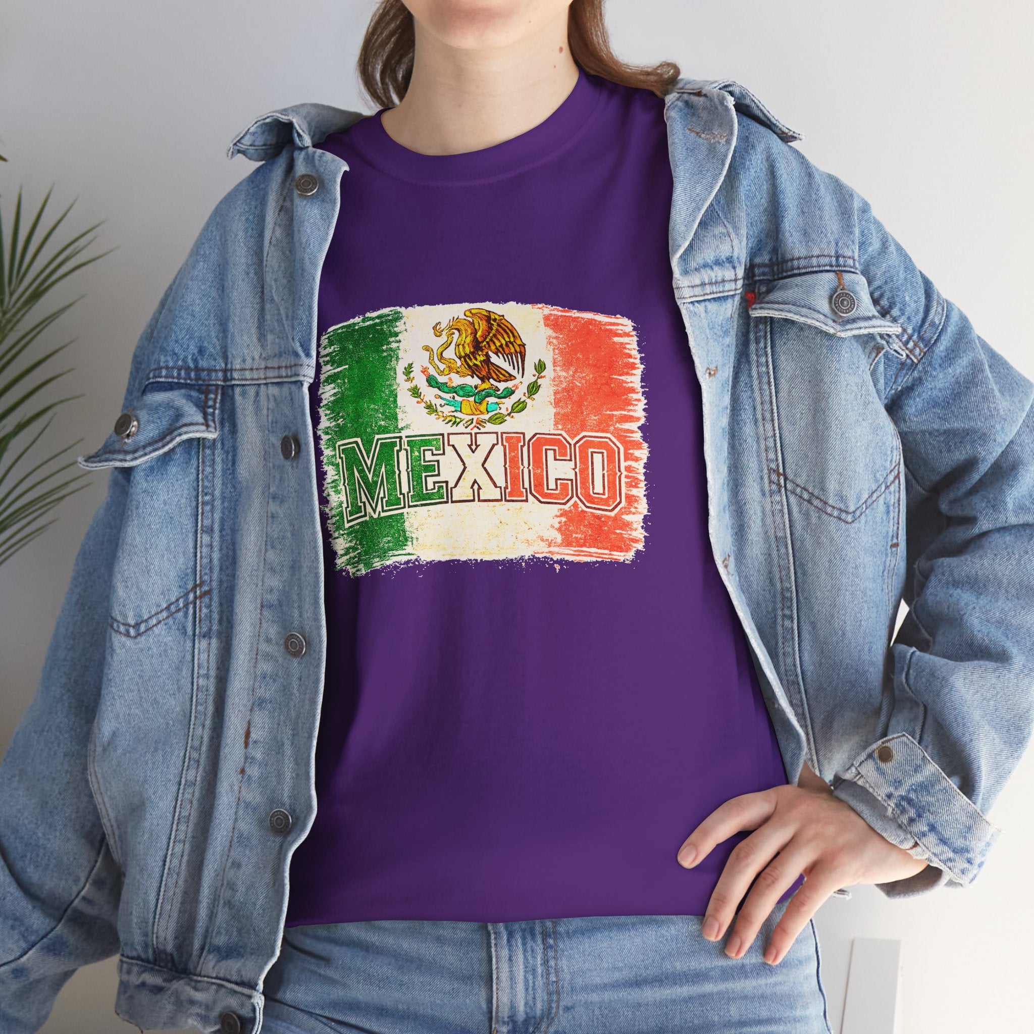 Mexico Flag Vintage T-Shirt — Distressed Mexican Emblem Tee